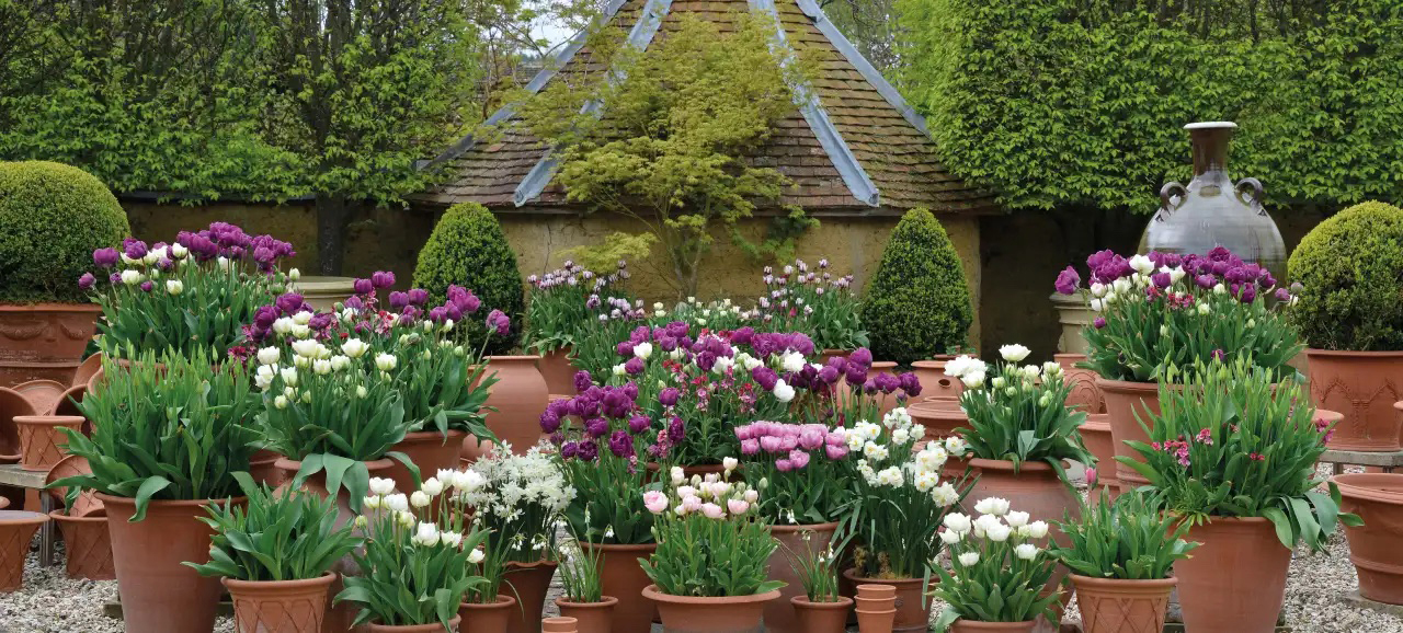 Whichford Pottery Featured Image